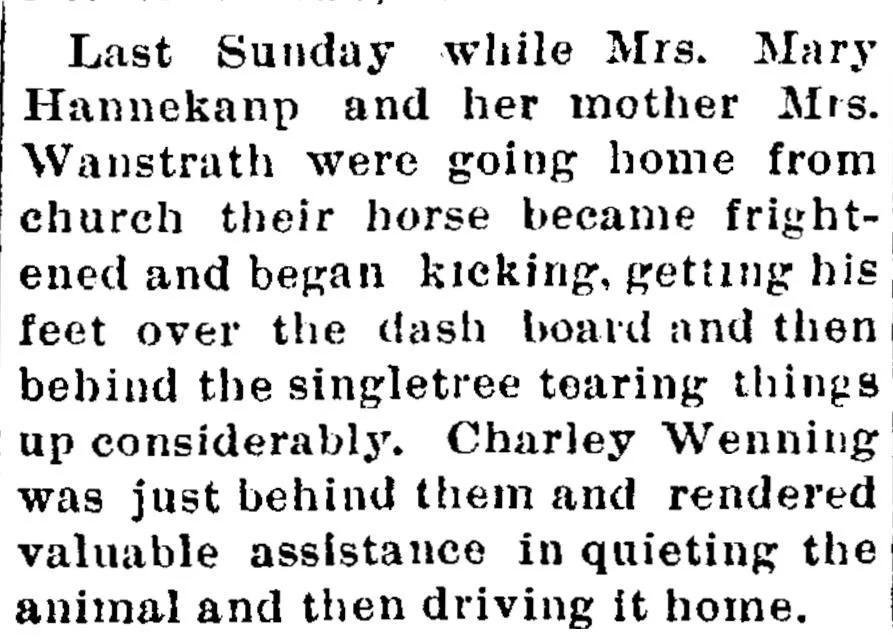 Historical newspaper clipping describing a runaway horse incident involving Mary Hannekamp and her mother after church