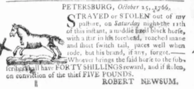 Newspaper clipping from the Virginia Gazette dated October 25, 1766, printed in Petersburg, Virginia, advertising a reward of forty shillings for the return of a middle-sized black horse with a star in his forehead, a roached mane, and a short switch tail, strayed or stolen from the pasture of Robert Newsum on Saturday night the 11th of that month, with a reward of five pounds offered on conviction of any thief.